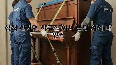 삼척 신기면 사무실 이사? 꿀팁 여기 다 있쥐! 🍯