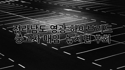 전라남도 영광 하이브리드 중고차 매입 🚗💨 놓치면 후회!