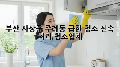 부산 사상구 주례동 급한 청소? 신속 처리 청소업체!